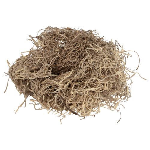 Floristik24 Muschio decorativo essiccato muschio di bosco naturale marrone decorazione naturale 300 g