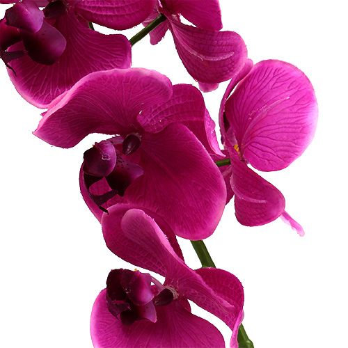 Prodotto Deco Orchid Pink L77cm