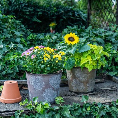 Floristik24 Vaso decorativo con foglie di zinco grigio metallizzato, arancio, marrone Ø26cmH22cm 3 pezzi