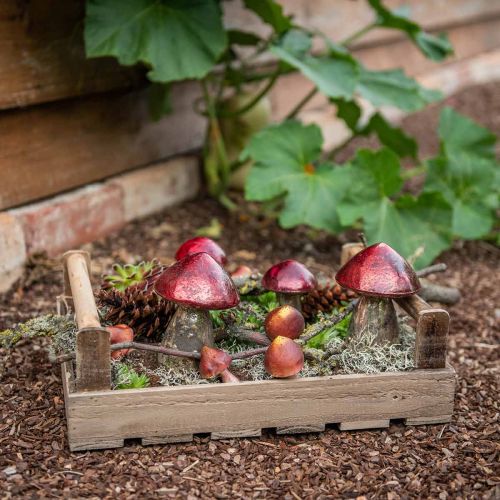 Floristik24 Funghi decorativi vetro rosso decorazione autunnale vintage Ø9cm H13,5cm 2 pezzi