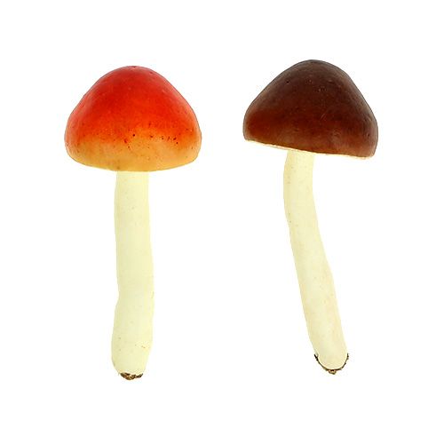 Floristik24 Funghi decorativi marroni, arancioni 9 cm 12 pezzi