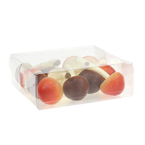 Floristik24 Funghi decorativi marroni, arancioni 9 cm 12 pezzi