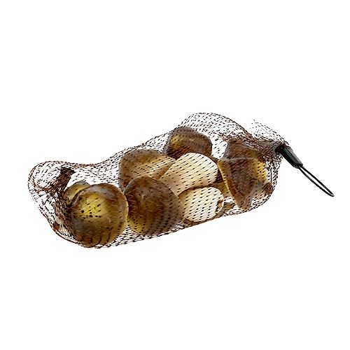 Floristik24 Funghi decorativi in rete 5-8cm assortiti. marrone 8 pezzi