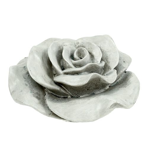 Floristik24 Decorativo rosa grigio 13 cm