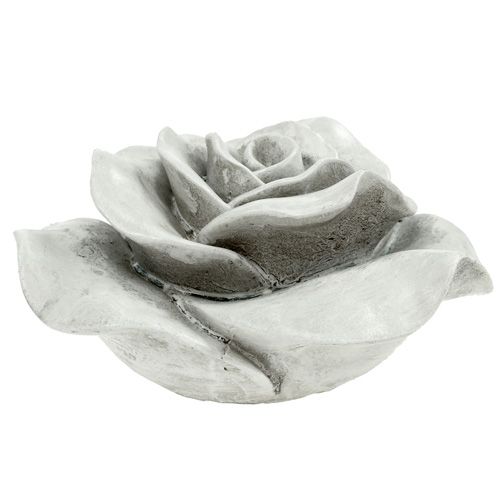 Floristik24 Decorativo rosa grigio 13 cm