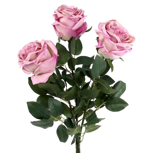 Floristik24 Deco rose riempito rosa antico Ø10cm L65cm 3 pezzi