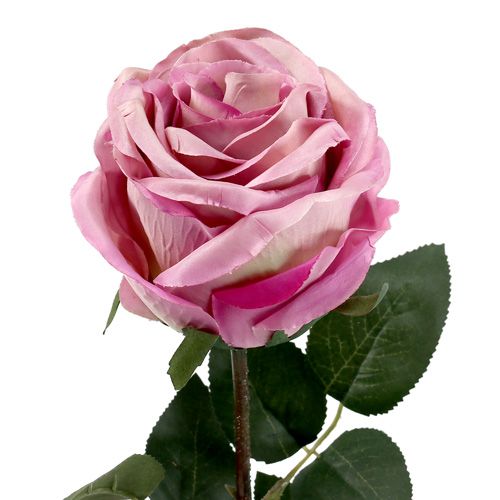Floristik24 Deco rose riempito rosa antico Ø10cm L65cm 3 pezzi