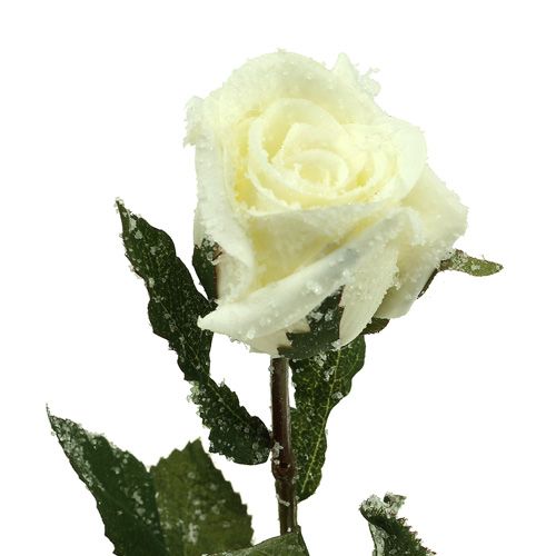 Prodotto Rosa decorativa bianca innevata Ø6cm 6 pezzi