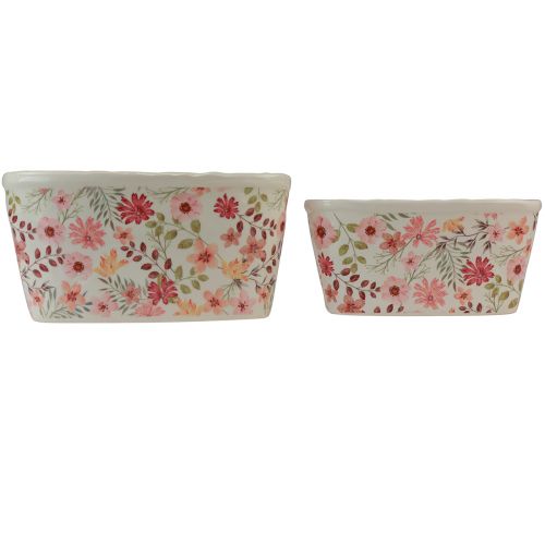 Floristik24 Ciotola decorativa con anemoni ciotola in ceramica ovale 27/23 cm set da 2