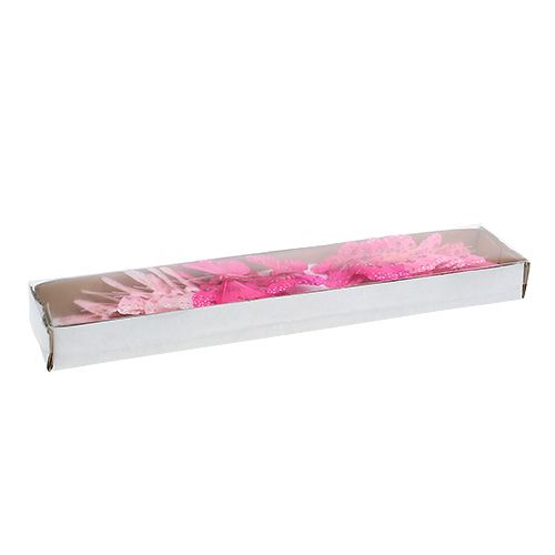Floristik24 Decò farfalla rosa-rosa. 6 cm 24 pezzi