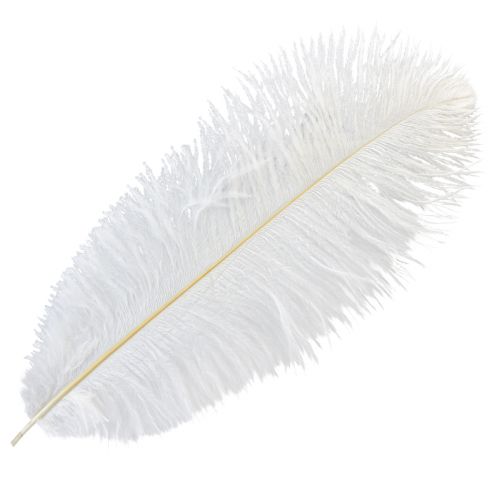 Piume di struzzo decorative, piume vere, bianche, 38-40 cm, 2 pezzi