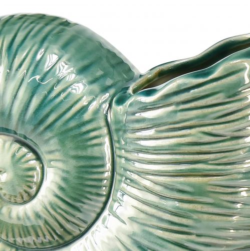 Floristik24 Vaso decorativo guscio di lumaca in ceramica verde 18x8,5x15,5cm