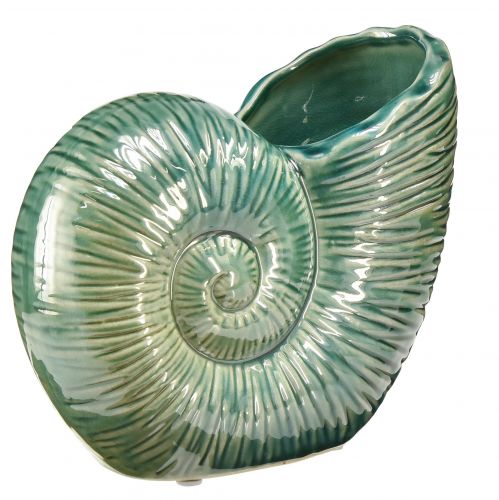 Floristik24 Vaso decorativo guscio di lumaca in ceramica verde 18x8,5x15,5cm