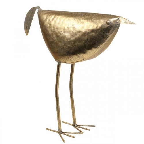 Floristik24 Uccello decorativo Figura decorativa uccello decorazione in metallo dorato 46×16×39 cm