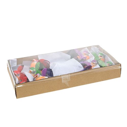 Floristik24 Uccello decorativo assortito 12 cm 9 pezzi