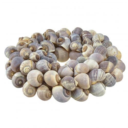Floristik24 Ghirlanda decorativa di lumache marittime per appendere lumache di mare Ø25 cm