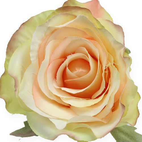 Floristik24 Teste di rose artificiali Ø9cm 6 pezzi