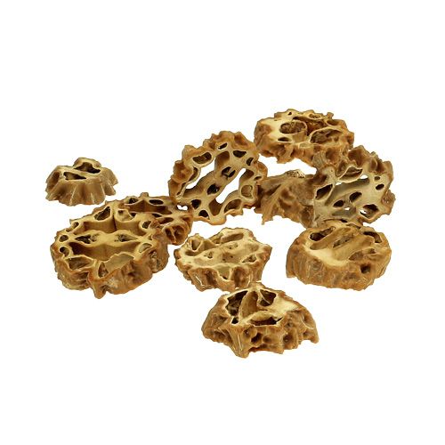 Floristik24 Fette di noci 2 cm naturali 250 g