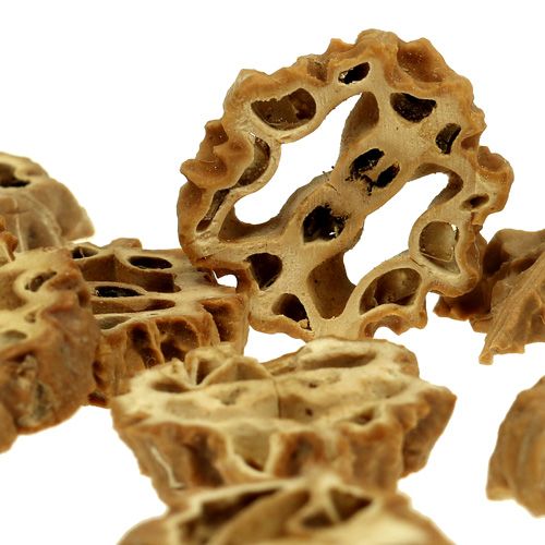 Floristik24 Fette di noci 2 cm naturali 250 g