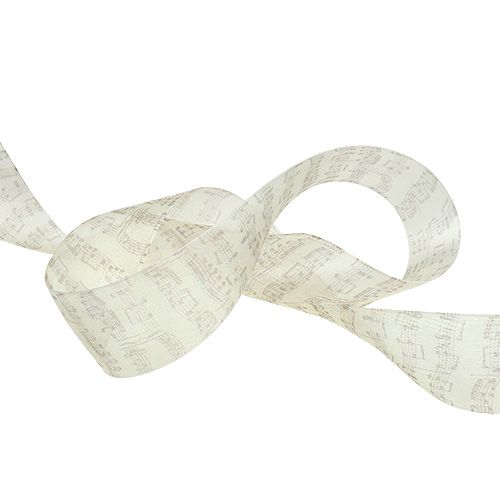 Floristik24 Schema note nastro decorativo 40mm 20m