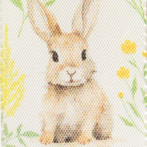 Prodotto Nastro regalo con motivo coniglietto pasquale per confezioni festive, 15 m