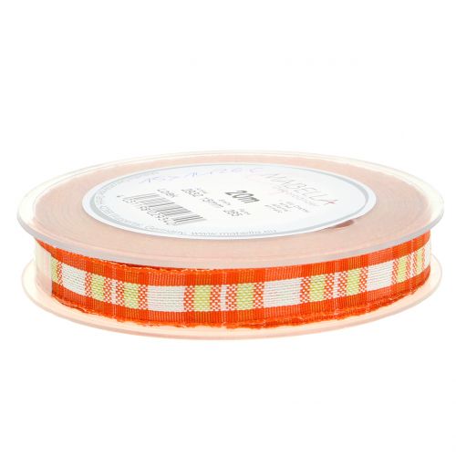 Floristik24 Controllo del nastro decorativo con bordo filo arancione 15mm L20m