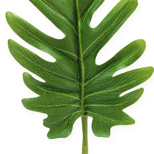 Floristik24 Lenzuola decorative Philodendron verde B11cm L34cm 6 pezzi