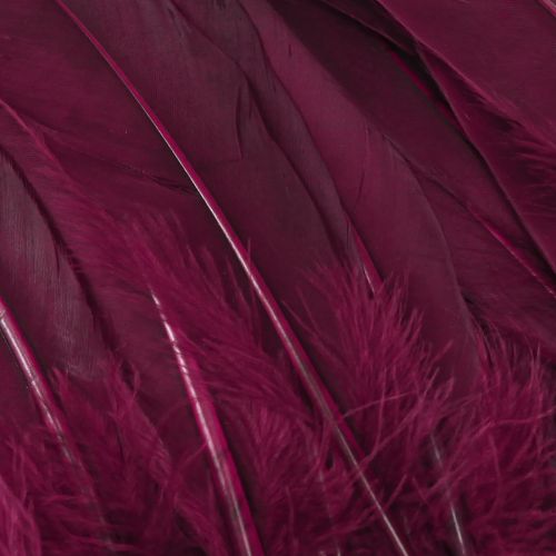 Prodotto Piume decorative piume d&#39;oca bordeaux forniture artigianali 20 g x 2 pezzi