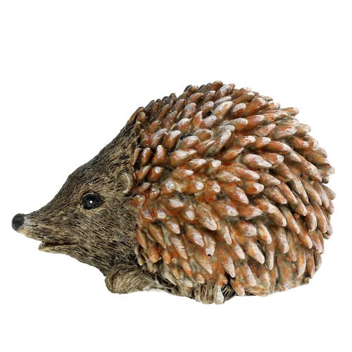 Floristik24 Figura decorativa riccio marrone 6,5 cm