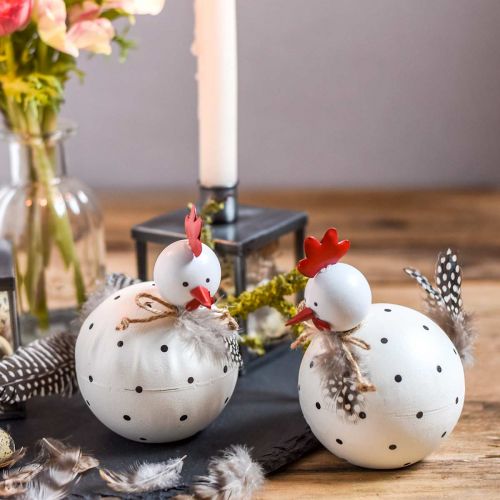 Floristik24 Figura Deco pollo bianco con pois e piume H13cm 2pz