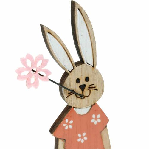 Floristik24 Figura decorativa Coniglietto pasquale arancione, coniglietto in legno bianco Decorazione pasquale 6 pezzi