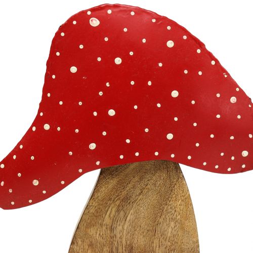 Floristik24 Figura decorativa toadstool nature, rosso 25cm