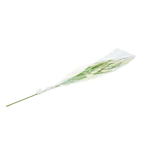 Floristik24 Deco verde L85cm