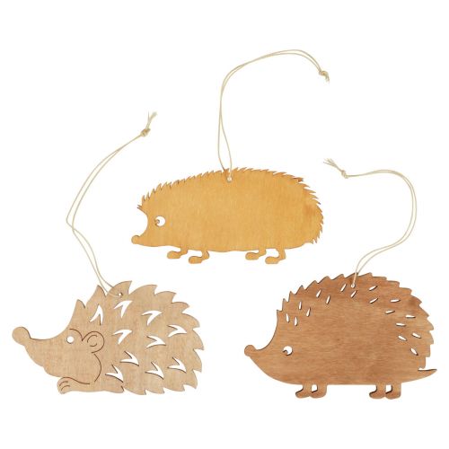 Floristik24 Appendino decorativo decorazione riccio in legno marrone arancione naturale 12x10 cm 12 pz