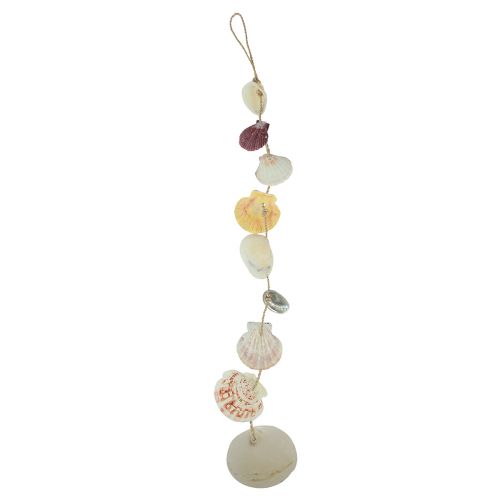 Appendino decorativo decorazione conchiglia marittima naturale Ø5–10cm 70cm