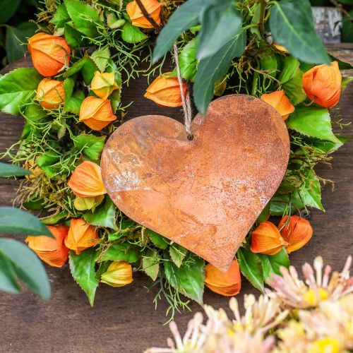 Floristik24 Cuori decorativi in metallo, decorazione autunnale, ciondolo decorativo, patina 14×15 cm 6 pz