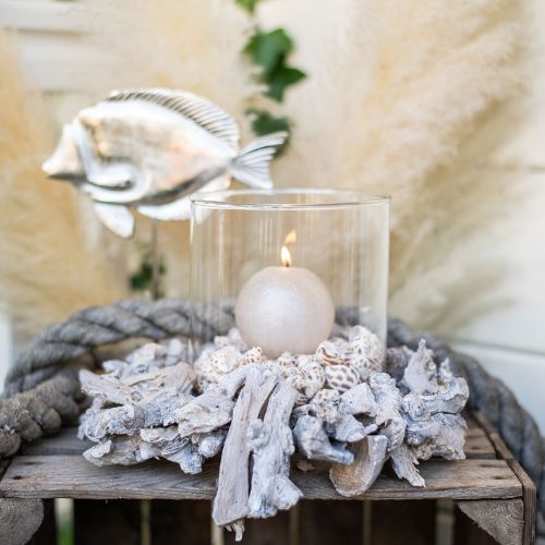 Floristik24 Ghirlanda decorativa ghirlanda naturale decorazione in legno di radica bianco naturale Ø30cm