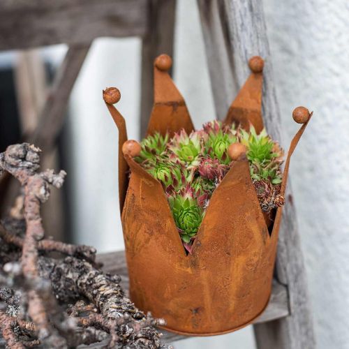 Floristik24 Corona decorativa, decoro in metallo, patina Ø15cm H11.5cm