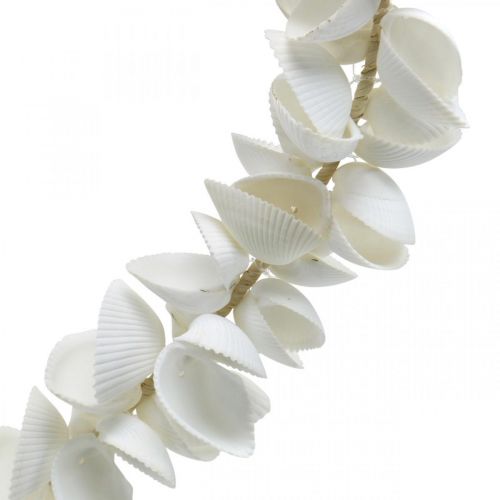 Floristik24 Cuore di conchiglia, decorazione marittima di San Valentino, cuore decorativo di conchiglie, decorazione marina 34×34 cm