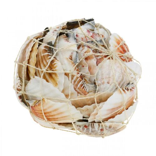 Floristik24 Conchiglia decorativa bianca, rossa Conchiglie vere in decorazione da tavola in rete di rafia 400g