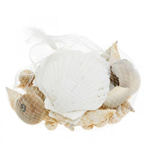 Prodotto Gusci di lumaca decorativi Lumache di mare natura Decorazione marittima 350g