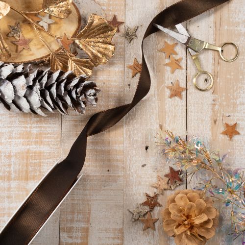 Nastro in taffetà marrone in rotolo, versatile per decorazioni, largo 25 mm, lungo 50 m. | Floristik24.it