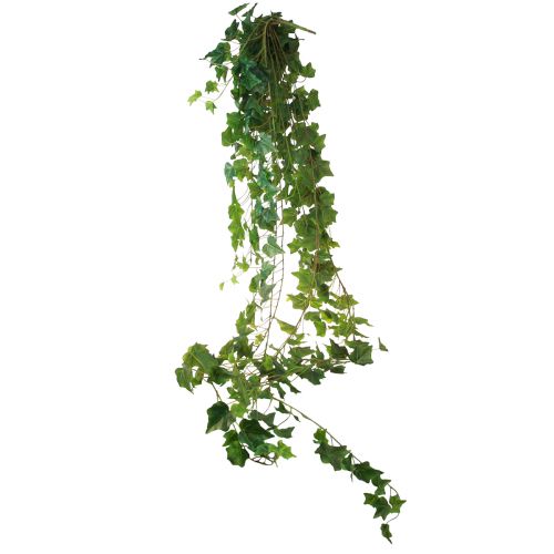Prodotto Tralcio di edera artificiale decorativa per interni naturali 183 cm