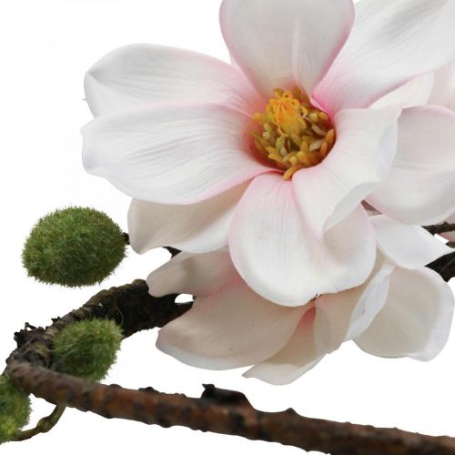 Floristik24 Anello decorativo magnolia artificiale decorazione primaverile da appendere Ø24cm