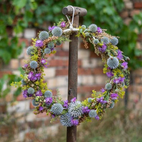Floristik24 Anello decorativo per appendere, decorazione per finestre, decorazione per parete colori naturali Ø30cm 4 pezzi