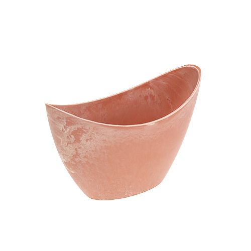 Floristik24 Ciotola decorativa arancione chiaro 20cm x 9cm H11.5cm, 1p