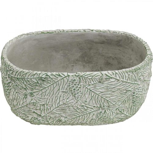 Floristik24 Ciotola decorativa in ceramica ovale verde bianco grigio rami di abete L22,5 cm