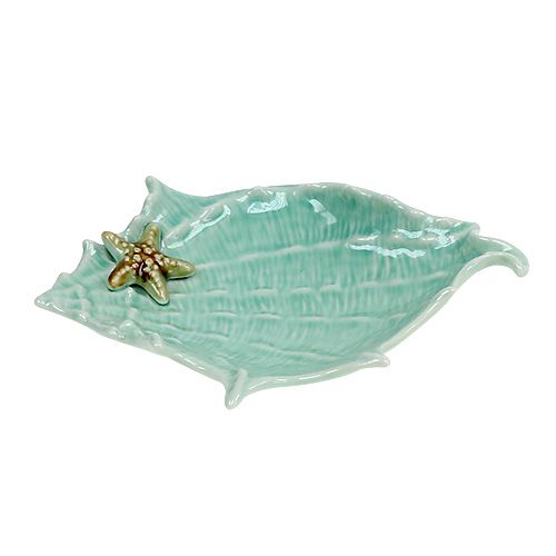 Floristik24 Guscio ciotola Deco 22cm