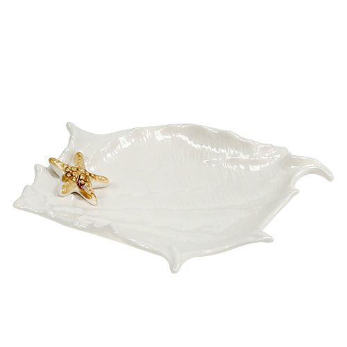 Floristik24 Ciotola con guscio decorativo con stelle marine 22 cm