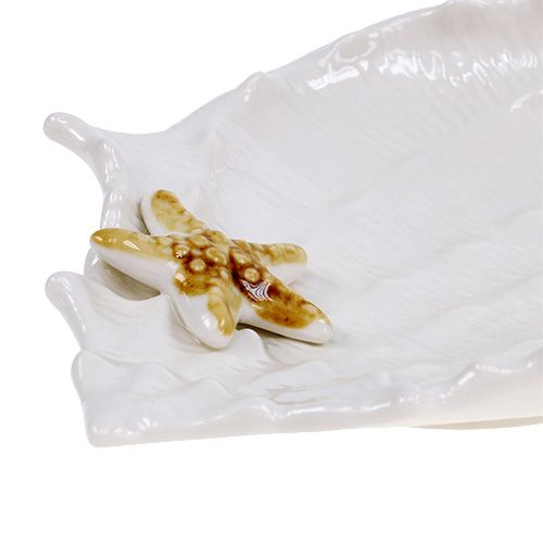 Floristik24 Ciotola con guscio decorativo con stelle marine 22 cm